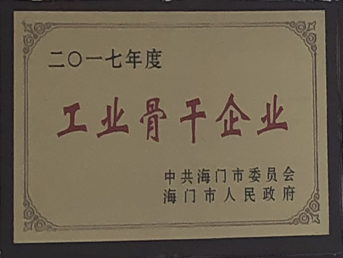 2017年度工业骨干去企业